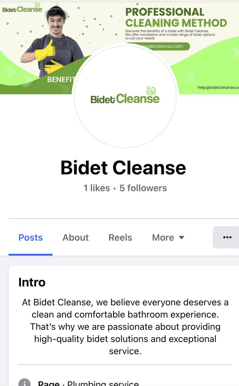 Bidetcleanse